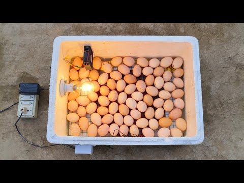 100 egg capacity incubator || how to make incubator || egg hatching