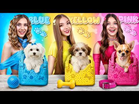 Rose VS Bleu VS Jaune : Une Fille avec un Chien ! Comment faire entrer des chiens dans la maison ?