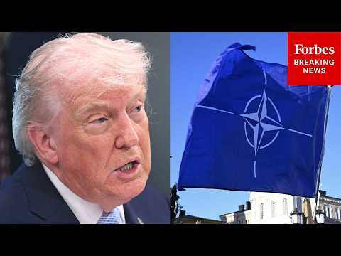 'Didn't Help Us': Trump Continues To Rail Against 'Paper Tiger' NATO Amid War With Iran