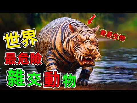 這些雜交動物簡直超乎想象！這些產物到底是造福人類還是毀滅世界#雜交動物 #動物雜交 #世界之最 #冷知識 #top10 #出類拔萃 #王宇觀地球