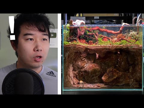 they made a CAVE system in their Fish Tank | Fish Tank Review 240