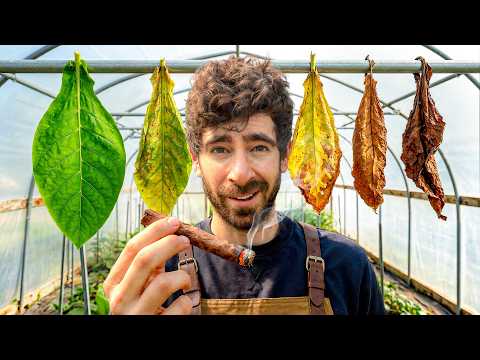 Why I Started Growing My Own Cigars