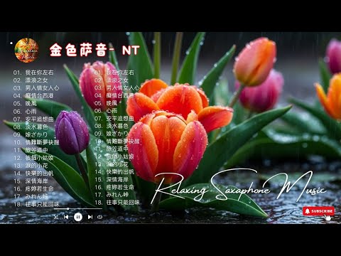 【100%無廣告，放鬆音樂】2025 薩克斯音樂、深度睡眠、放鬆音樂、療癒音樂、減壓按摩音樂、睡眠音樂、療癒音樂、鋼琴音樂、波音、鋼琴音樂、輕音樂、輕音樂、BGM、純音樂, 鋼琴音樂, 輕音樂