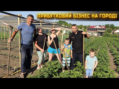 🇺🇦Бізнес на огірках. Екскурсія по нашому городі + лайфхаки по вирощуванню.