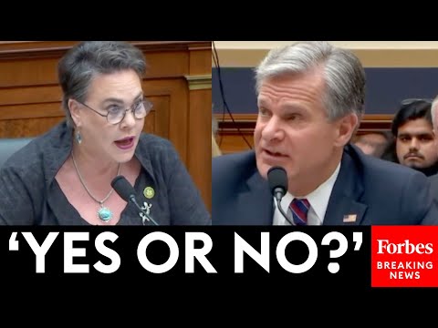 Harriet Hageman Grills Wray About FBI Meetings With Social Media Companies