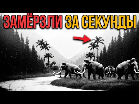 Замёрзли МГНОВЕННО. Как на самом деле погибли мамонты и СИБИРЬ?