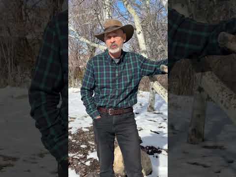 Private Chat with a Top African PH – Join Us Wednesday!