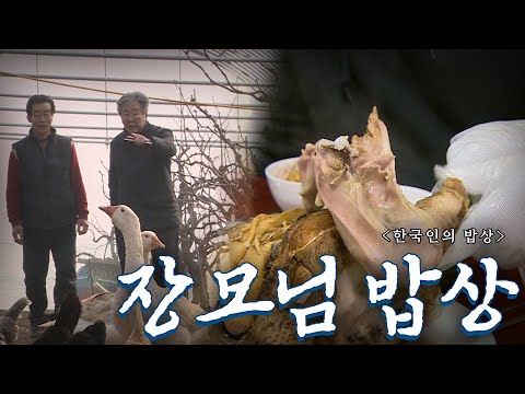 사위에 대한 사랑이 가득 담긴 '장모님 밥상', Korean Food｜최불암의 한국인의밥상🍚 KBS 20190321