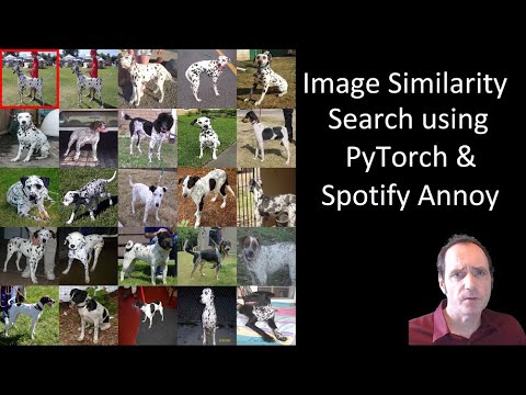 Image Similarity Search using PyTorch & Spotify Annoy
