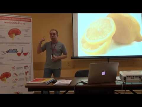 Егор Миронов "Теория и практика Германской Новой Медицины"