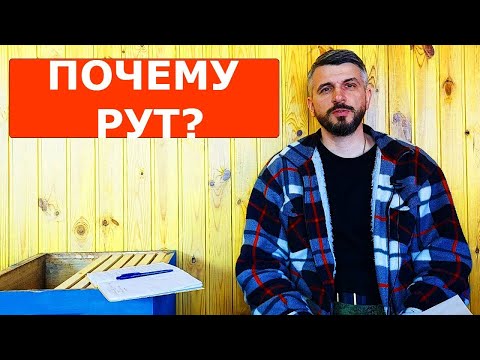 Вечный спор какой улей лучше/ пчеловодство в рутах