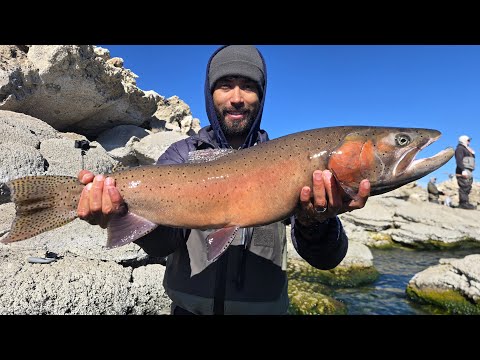 World Class Fishing - Largest Cutthroat Trout on Earth