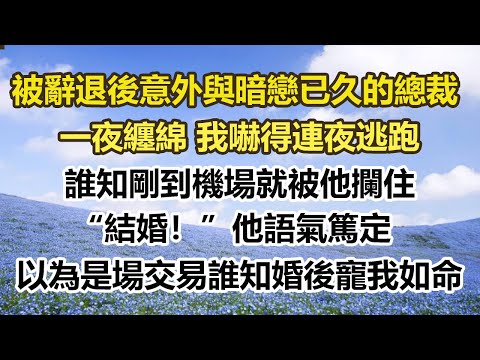 被辞退后意外与暗恋已久的总裁,一夜缠绵 我吓得连夜逃跑,谁知刚到机场就被他拦住,「结婚!」他语气笃定,以为是场交易谁知婚后宠我如命。#幸福敲門 #為人處世 #生活經驗 #情感故事