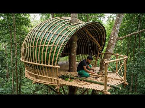 He Built a Seashell Bamboo House in a Tree — You Won’t Believe This Design!