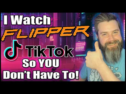 I Explain Flipper Zero videos on TikTok So You Don't Have To! 🐬🙊🙉🙈😱