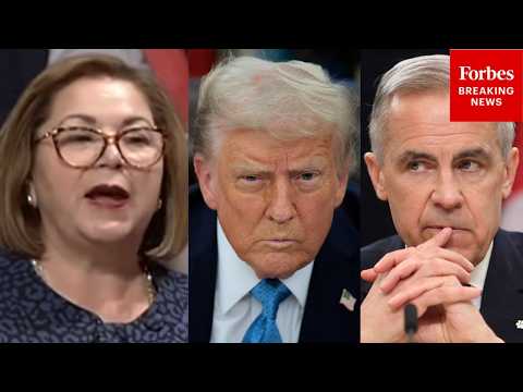 'His Daily Barrage Against Canada Does Not Make Him Look Tough': Sanchez Rips Trump's Canada Threats