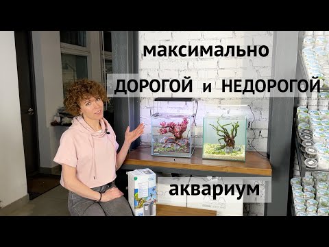 Аквариум для петушка или креветочник / Фильтр OASE FiltoSmart 60 / Светильник Chihiros WRGB 2