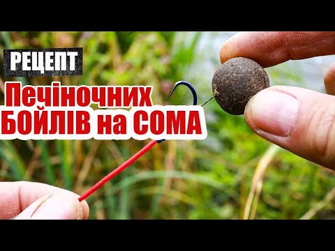 How to make catfish boilies with your own hands + tackle for catfish + underwater video filming