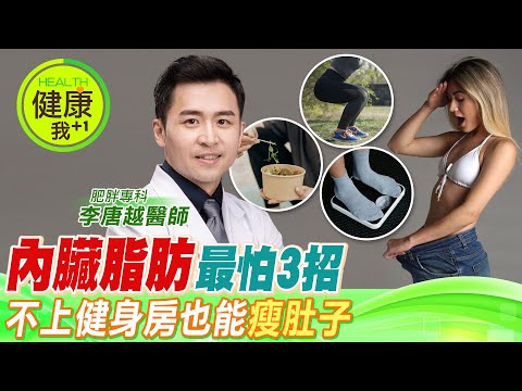 "內臟脂肪"最怕3招！醫授甩肚「口訣534」不上健身房也能瘦肚子！︱肥胖專科 李唐越醫師【#名醫實戰錄】 @中天電視CtiTv  ‪@健康我加1CtiHealthyme ‬‬‬‬