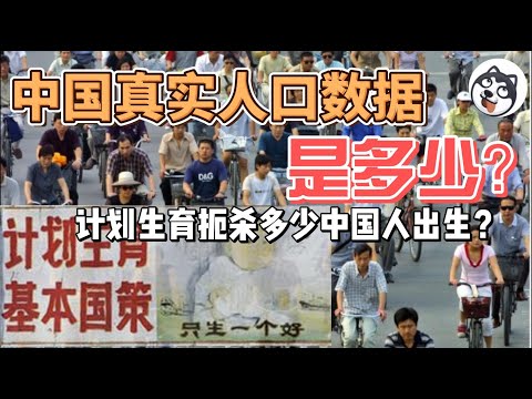 天花疫苗接種量暴露新生兒真相？官方950萬出生數對不上！揭開中國人口造假背後地方財政編制黑幕，糧食用電多維模型驗證人口真空