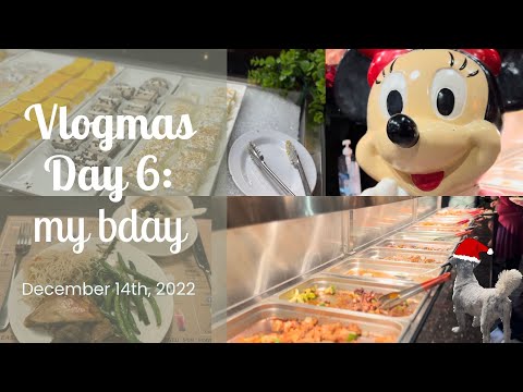 vlogmas: my bday