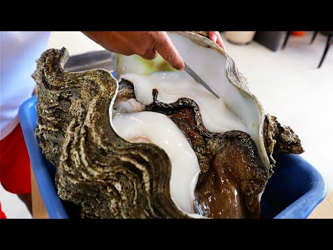 Palau Food - GIANT ALIEN CLAM Sashimi Fried Rice FC Seafood Koror