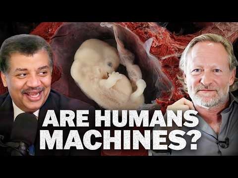 Why Did the Universe Create Life? With David Krakauer