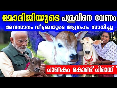 "മോദിജിയുടെ പശുവിനെ വേണം"  വീട്ടമ്മ, അവസാനം ആഗ്രഹം സാധിച്ചു. | Modiji's cow 