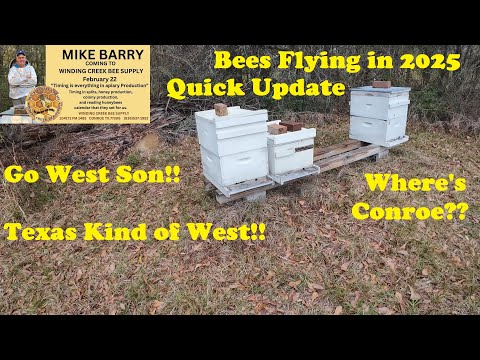 Beekeeping Winter Update | Texas Bound