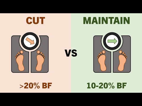 Should You Bulk, Cut or Maintain?