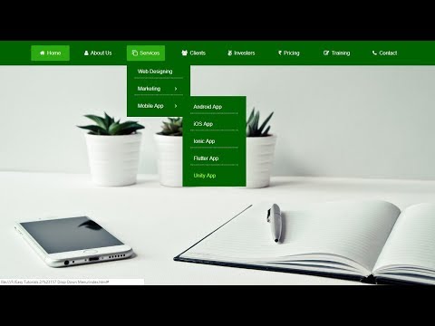 How To Make Drop Down Menu Using HTML And CSS | HTML Website Tutorials
