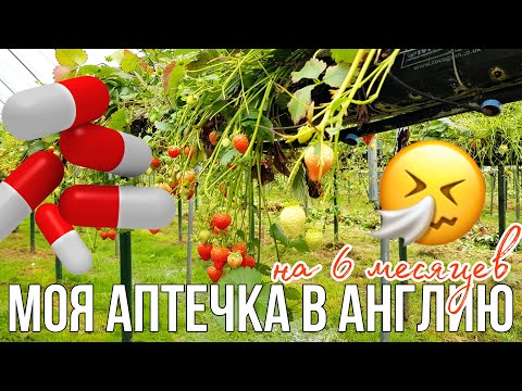 Моя АПТЕЧКА в Англию на 6 МЕСЯЦЕВ! | Что взять с собой на ферму?