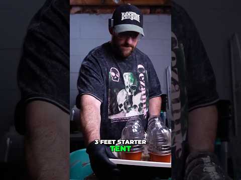 AC Infinity Cloud Lab  Ultimate Seed Propagation!