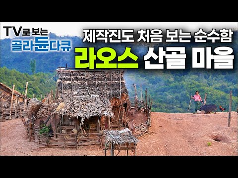 바다 없는 가난한 나라. 라오스 산꼭대기 고산족은 뭐 먹고 살아갈까|라오스의 모든 것|세계테마기행|#골라듄다큐