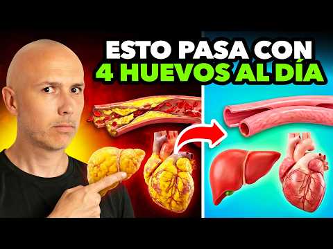 ESTO Es Lo Que Pasa En Tu CUERPO Cuando Comes 4 HUEVOS Diarios | Increíbles BENEFICIOS Del HUEVO