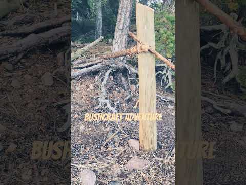 New video coming soon!