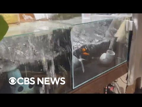 Strong Japan earthquake caught on security cameras