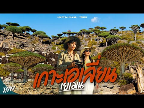 ป่าเลือดมังกรผืนสุดท้ายบนโลก ที่เกาะเอเลี่ยนสุดแปลก Socotra island - Yemen| อาสาพาไปหลง