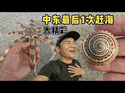 《环球探海记》阿曼 第54天:今天赶海突发情况,摄影师竟然哭了! #赶海 #旅行 #阿曼 #马西拉岛