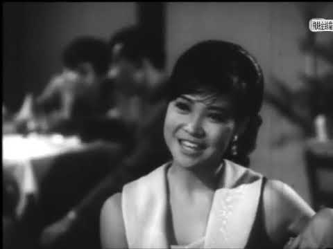 記錄香港🇭🇰香港電影🎬 | 金絲貓 1967年 蕭芳芳 胡楓 石堅 沈芝華