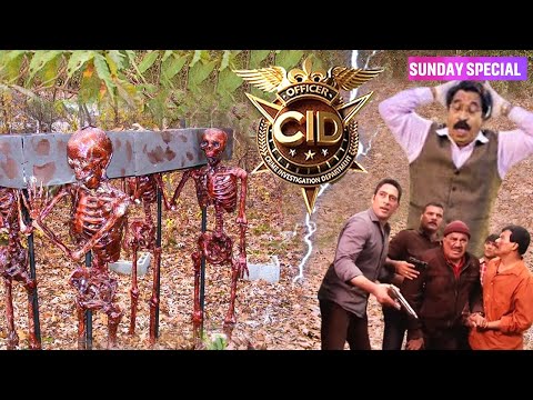 Sunday Special CID 2025 : जब Investigation Team को जंगल में मिले 100 साल पुराने चलते-फिरते कंकाल
