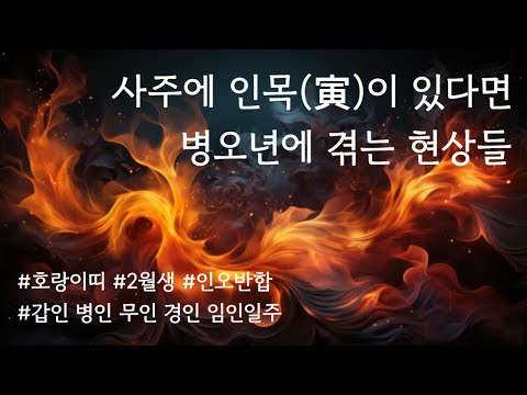 사주에 인목이 있다면 2026년 꼭 주목하셔야 하는 이유 #인오반합해석