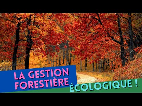 COMMENT GERER UNE FORÊT DURABLEMENT ?