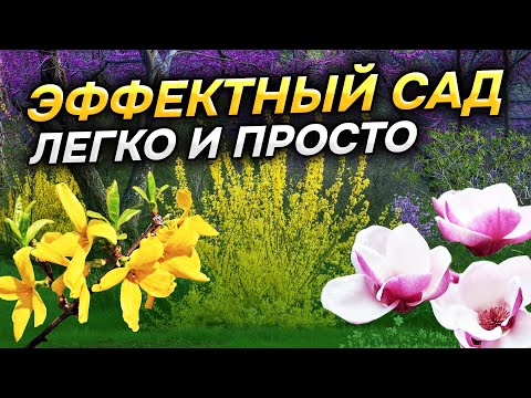 🏵⚡ЦВЕТУТ круче всех! 11 ШИКАРНЫХ кустарников без ухода
