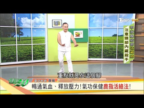 暢通氣血、釋放壓力！氣功保健鹿指活絡法！ 健康2.0