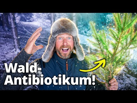 Das stärkste natürliche Antibiotikum im Winter (und wie du es nutzen kannst)