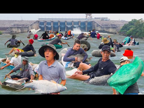 Đua Nhau Bắt Cá Lớn Khi Hồ Trị An Đóng Cửa Đập║Xóm Nhà Nổi Trên Lòng Hồ Mã Đà