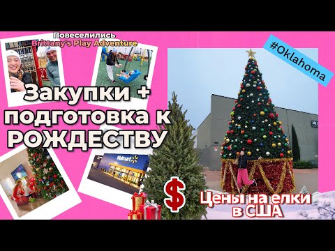 Home in the USA 🇺🇸|Decorating the Christmas tree, shopping at Walmart, the first snow, and fun on...
