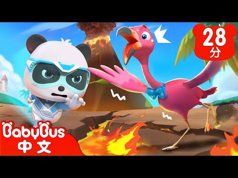 火山爆發大危機 | 嘉年華的紅鶴大舞團 | 奇妙救援隊 S2EP08 | 奇妙動物認一認 | 科普啟蒙 | 貓熊動畫 | 卡通片 | BabyBus | 寶寶巴士