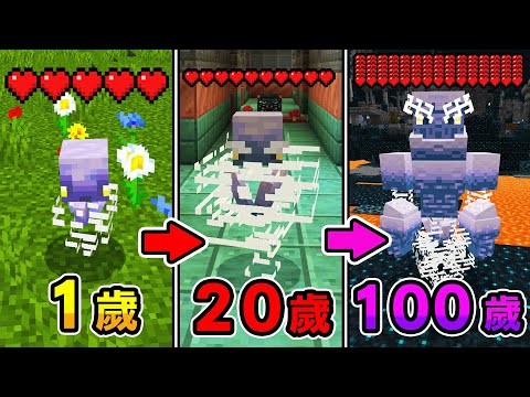 Minecraft 我成為『會成長的旋風使者』生存，越變越強的能力挑戰最強生物伏守者